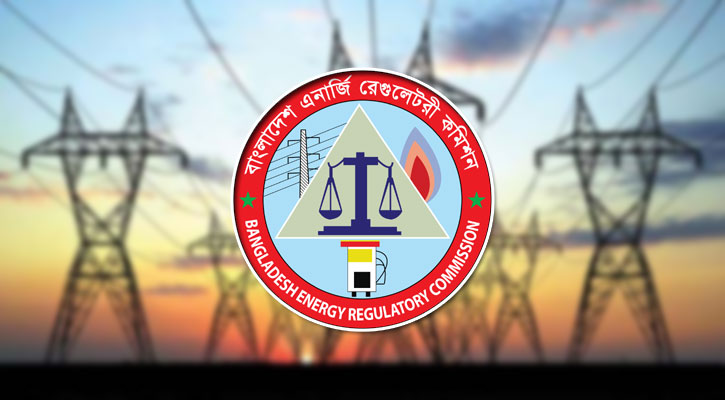 গ্রাহক পর্যায়ে বিদ্যুতের মূল্য নিয়ে গণশুনানি জানুয়ারিতে