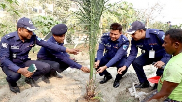 সিদ্ধিরগঞ্জ থানায় পুলিশের বৃক্ষ রোপণ কর্মসূচি পালন 