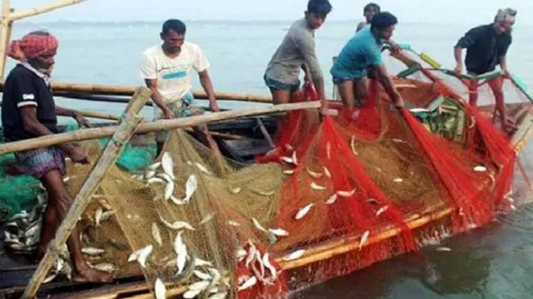 জাটকা আহরণে বিরত থাকা জেলেদের জন্য ৫৭ হাজার ৭৩৯ টন ভিজিএফ বরাদ্দ