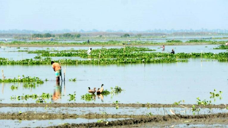 হালতি বিলে জলাবদ্ধতা, ২০ হাজার কৃষকের মাথায় হাত