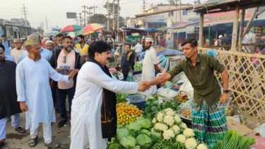 লাঙ্গলের নির্বাচনী প্রচারণায় মাঠ চষে বেড়াচ্ছে - খোকা