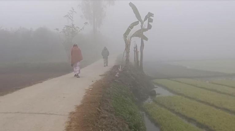 শৈত্যপ্রবাহ কাটবে কবে জানাল আবহাওয়া অফিস