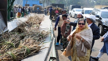 ফরিদপুর সুগার মিল পরিদর্শন করলেন শিল্প সচিব