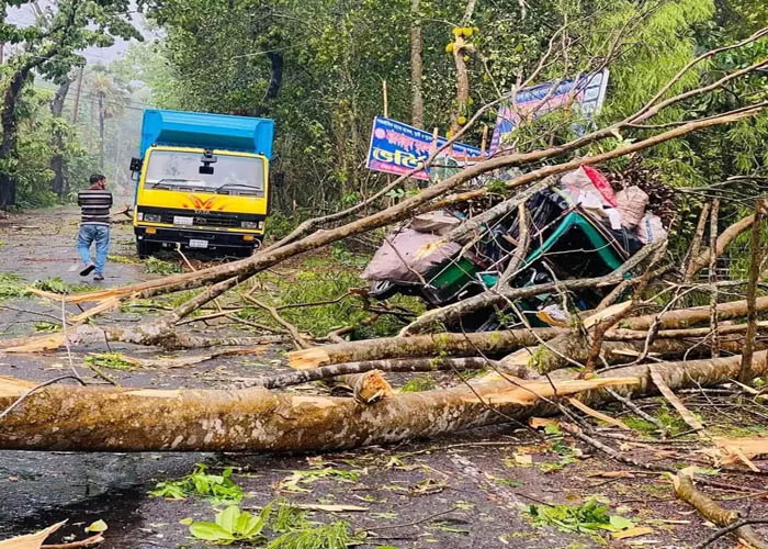 কালবৈশাখী ঝড়ে লন্ডভন্ড পিরোজপুর, গাছচাপায় নিহত ১