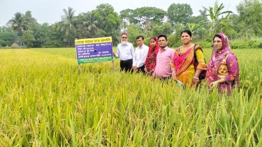 তাপদাহ: কৃষকদের পাশে গোপালগঞ্জ সদর উপজেলা কৃষি অফিস