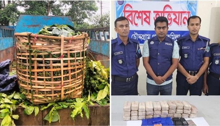 কুমিল্লায় পানের ঝুড়িতে ইয়াবা পাচার, আটক ১