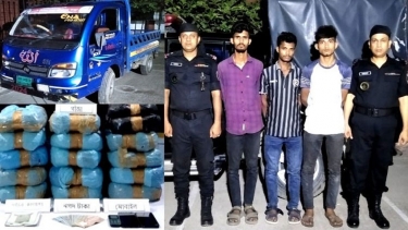 ৩১ কেজি গাঁজাসহ আটক ৩, পিকআপ ভ্যান জব্দ