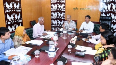 দেশে সারের কোনো সংকট নেই: কৃষি উপদেষ্টা