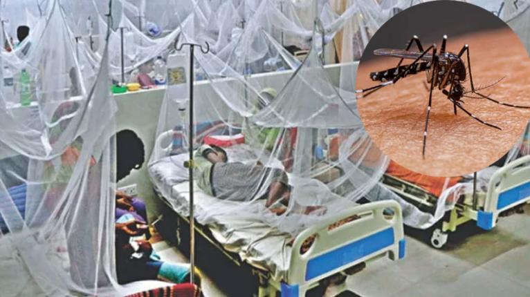 ভয়াবহ রূপে ডেঙ্গু, সাত দিনে ২৫ মৃত্যু