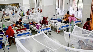ডেঙ্গুতে আরো ৮ প্রাণহানি, হাসপাতালে ১০১৭ জন