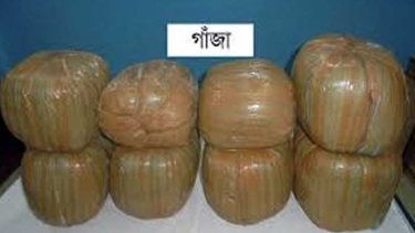 বন্দরে ৩ যুবক আটক, ২৪ কেজি গাঁজা উদ্ধার