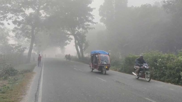 চুয়াডাঙ্গায় বইছে শৈত্যপ্রবাহ