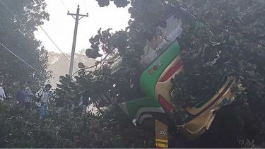 মিরসরাইয়ে শিক্ষা সফরের বাস খাদে পড়ে আহত ১৫