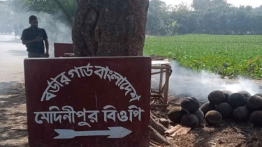 সীমান্ত থেকে বাংলাদেশি নাগরিককে ধরে নিয়ে গেছে বিএসএফ