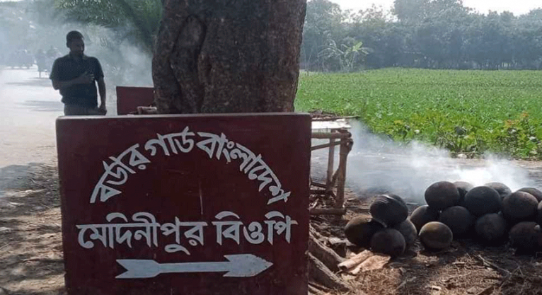 সীমান্ত থেকে বাংলাদেশি নাগরিককে ধরে নিয়ে গেছে বিএসএফ