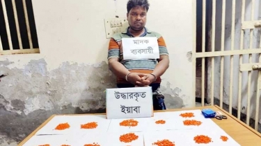 চাঁদপুরে ইয়াবাসহ কারবারি গ্রেপ্তার