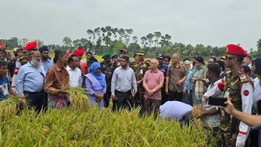 তিন উপদেষ্টার ভবদহ সফর ১০ লাখ মানুষের মনে আশার সঞ্চার করছে