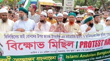 মুসলিম বিশ্ব মার্চ টু ফিলিস্তিনের মাধ্যমে ইসরায়েলকে ধ্বংস করতে বাধ্য হবে : সুলতান
