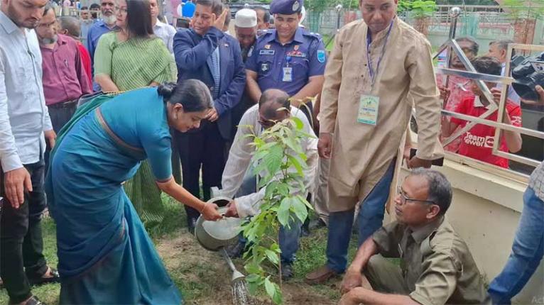 ধ্বংস প্রায় প্রকৃতিকে ফিরিয়ে আনতে হবে: রিজওয়ানা হাসান