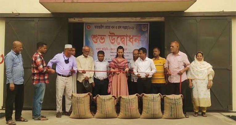 সরিষাবাড়ীতে অভ্যন্তরীণ বোরো ধান-চাল সংগ্রহের উদ্বোধন