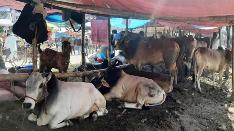 আফতাবনগরে ডিএনসিসির পশুর হাটও বসানো যাবে না : হাইকোর্ট
