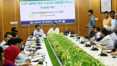 নওগাঁয় আম সংগ্রহ শুরু ২২ মে