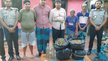 জামালপুরে ১২কেজি গাঁজাসহ ৫ ইয়াবা ব্যবসায়ী আটক