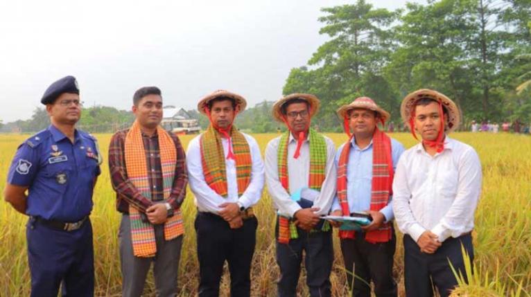আড়াইহাজারে বোরো ধান কর্তনের উদ্বোধন ও কৃষক মতবিনিময় সভা