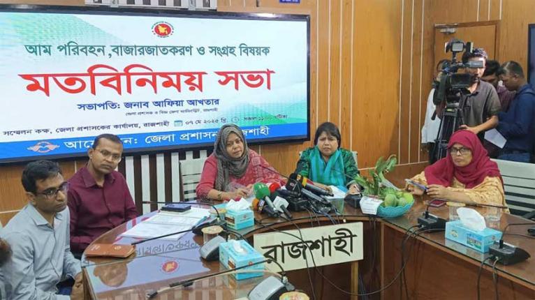 ১৫ মে থেকে রাজশাহীতে আম পাড়া শুরু