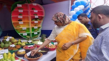 কিশোরগঞ্জে তিনদিন ব্যাপী ফল মেলা শুরু