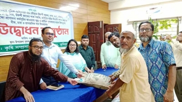 কুমিল্লায় কৃষকদের মাঝে বীজ, চারা ও সার বিতরণ