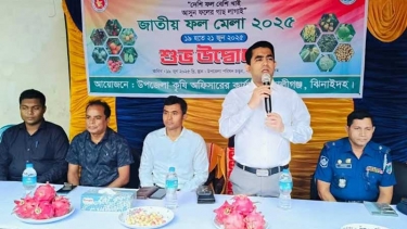 কালীগঞ্জে তিন দিনব্যাপী জাতীয় ফল মেলা শুরু