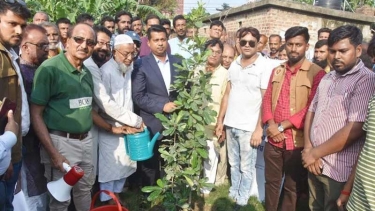 সাইনবোর্ডে হবে গেইট অফ ড্যান্ডি : ডিসি