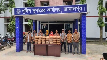 জামালপুরে গাঁজাসহ নারী কারবারি গ্রেপ্তার