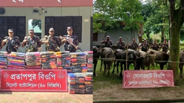 সিলেট-সুনামগঞ্জ সীমান্তে মহিষ-ভারতীয় পণ্যসহ ৭ গাড়ি জব্দ
