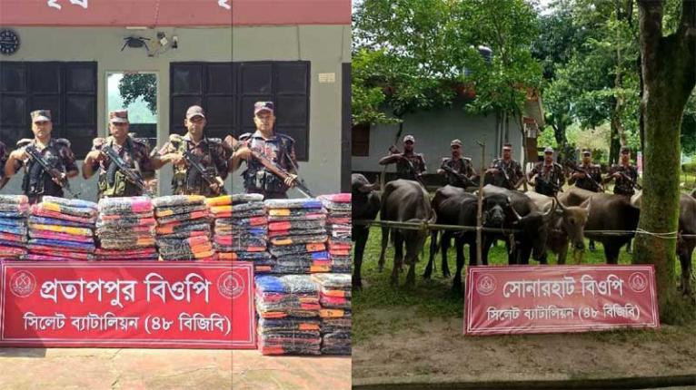 সিলেট-সুনামগঞ্জ সীমান্তে মহিষ-ভারতীয় পণ্যসহ ৭ গাড়ি জব্দ