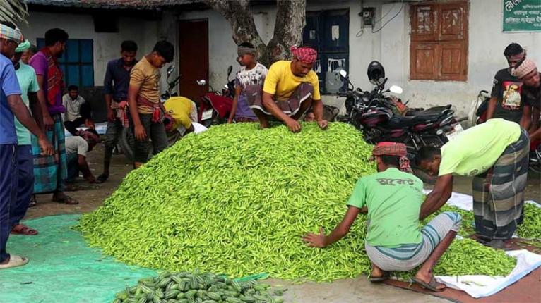 নওগাঁয় এক সপ্তাহের ব্যবধানে কাঁচা মরিচের ডাবল সেঞ্চুরি