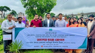 সিদ্ধিরগঞ্জে ৩০০ তাল গাছের চারা রোপণ করলেন ডিসি