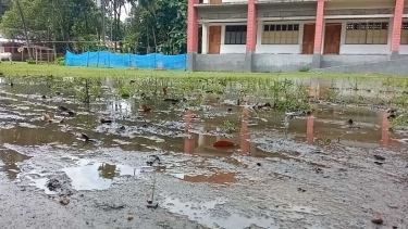 জামালপুরের তারাকান্দি প্রাথমিক বিদ্যালয়ে জলাবদ্ধতায় শিক্ষার্থীদের ভোগান্তি চরমে