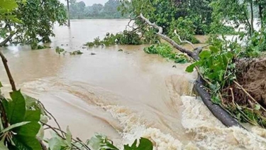 উজানের ঢলে ফেনীতে ৩ নদীর বাঁধ ভেঙে ৩০ গ্রাম প্লাবিত