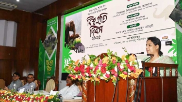 হাতি সংরক্ষণে আবাসস্থল রক্ষা, করিডোর মুক্তকরণ ও সচেতনতা জরুরি - পরিবেশ উপদেষ্টা