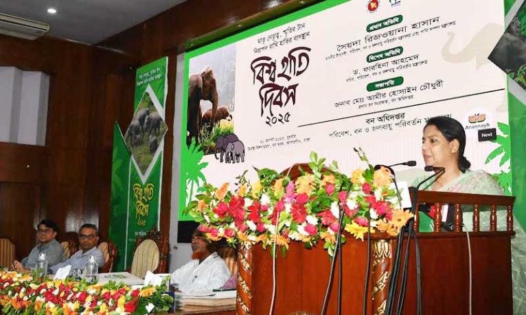 হাতি সংরক্ষণে আবাসস্থল রক্ষা, করিডোর মুক্তকরণ ও সচেতনতা জরুরি - পরিবেশ উপদেষ্টা