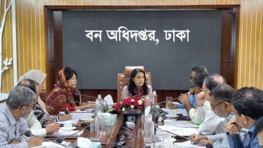 বনভূমি ২০ শতাংশে উন্নীতের লক্ষ্যে ব্যাপক কর্মপরিকল্পনা গ্রহণ করা হবে : পরিবেশ উপদেষ্টা