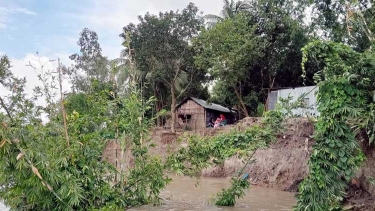 ব্রহ্মপুত্রের করাল গ্রাসে দিশেহারা বকশীগঞ্জ, ভাঙছে বসতভিটা-জমি