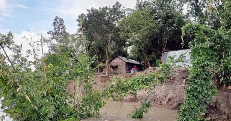 ব্রহ্মপুত্রের করাল গ্রাসে দিশেহারা বকশীগঞ্জ, ভাঙছে বসতভিটা-জমি