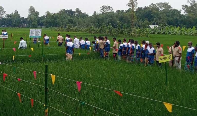 সরিষাবাড়ীতে কৃষকদের নিয়ে সিনজেনটার সমাবেশ লক্ষ্য নিরাপদ শস্য