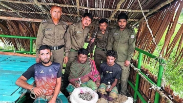 সুন্দরবনে খালে বিষ দিয়ে মাছ ধরায় আটক ৩