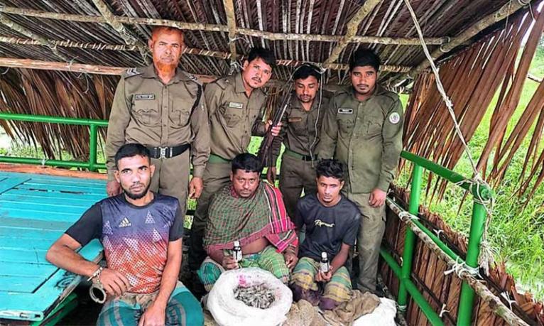 সুন্দরবনে খালে বিষ দিয়ে মাছ ধরায় আটক ৩