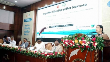 নদী দূষণে হুমকিতে ডলফিন, বিপদে মানুষও