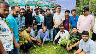 সিদ্ধিরগঞ্জে যুবদলের মাছের পোনা অবমুক্ত ও বৃক্ষরোপণ কর্মসূচি